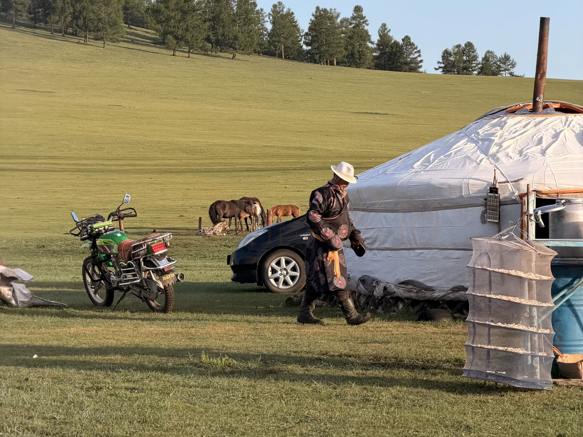 Chuluunbaatar racehorse trainer camp: Chuluunbaatar starts his day before sunrise, checking the herds with binoculars before riding out to bring them in. (Morning herding)