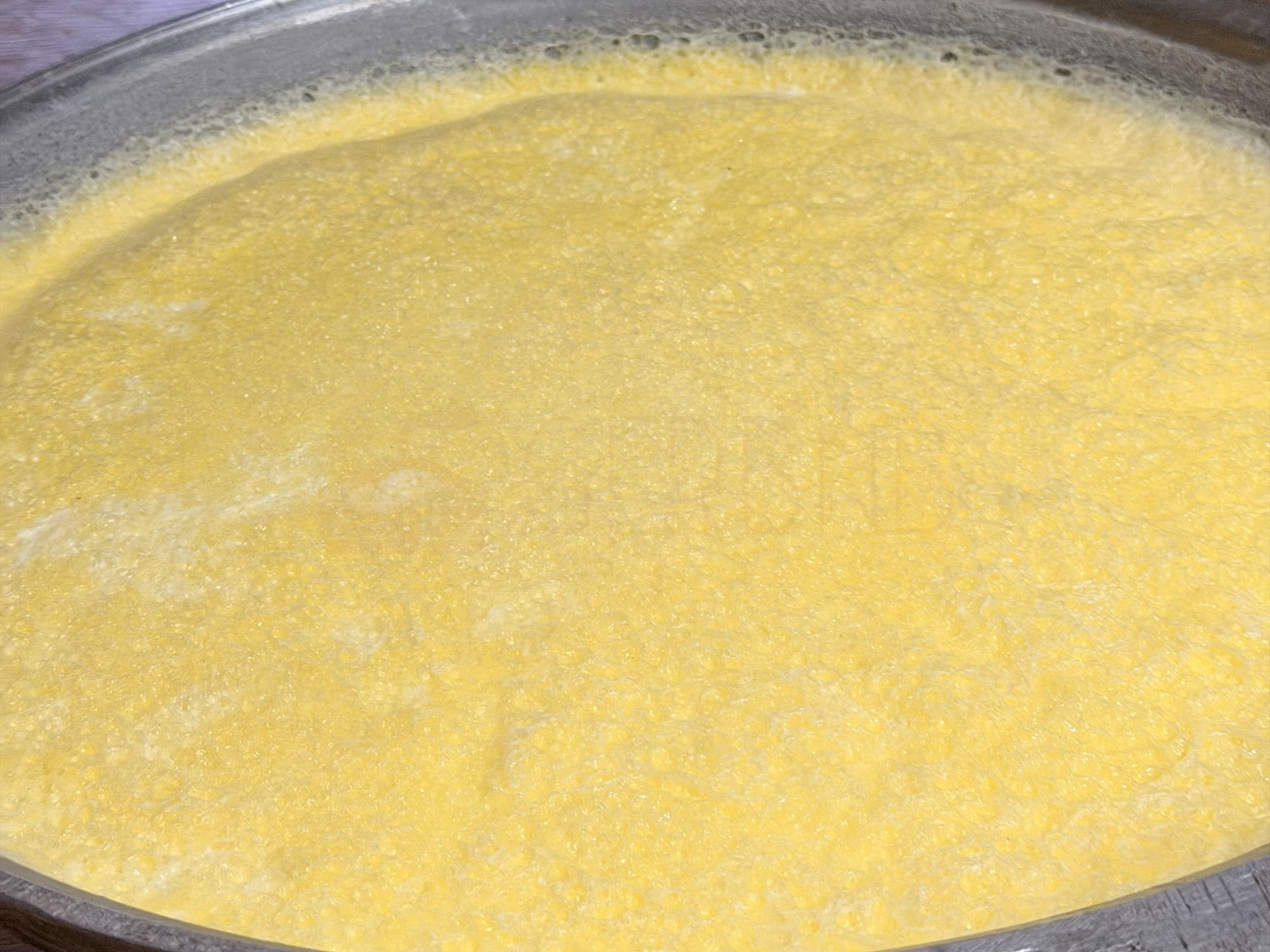 Losol fresh mare milk camp: Fresh Urum (clotted cream). Skimmed directly from boiled fresh milk, it’s a thick, rich staple that gives nomads the energy they need for a long day. (Food preparation, Urum, Dairy)