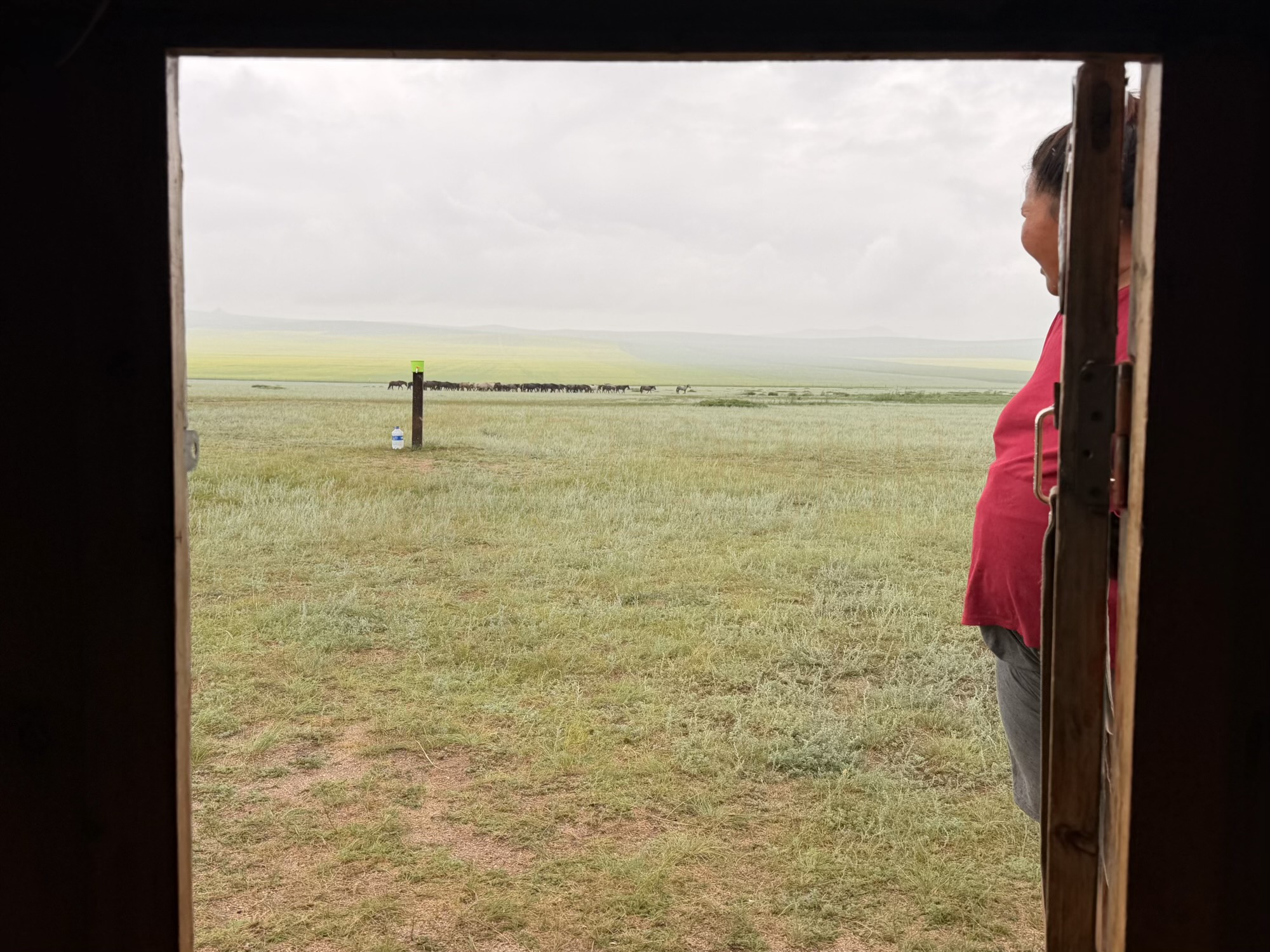 Bolor-Erdene Elsen Tasarkhai sand dune camp: The guest ger opens directly onto the grassland at the foot of the Khugnu Tarna mountains. (View from the ger)