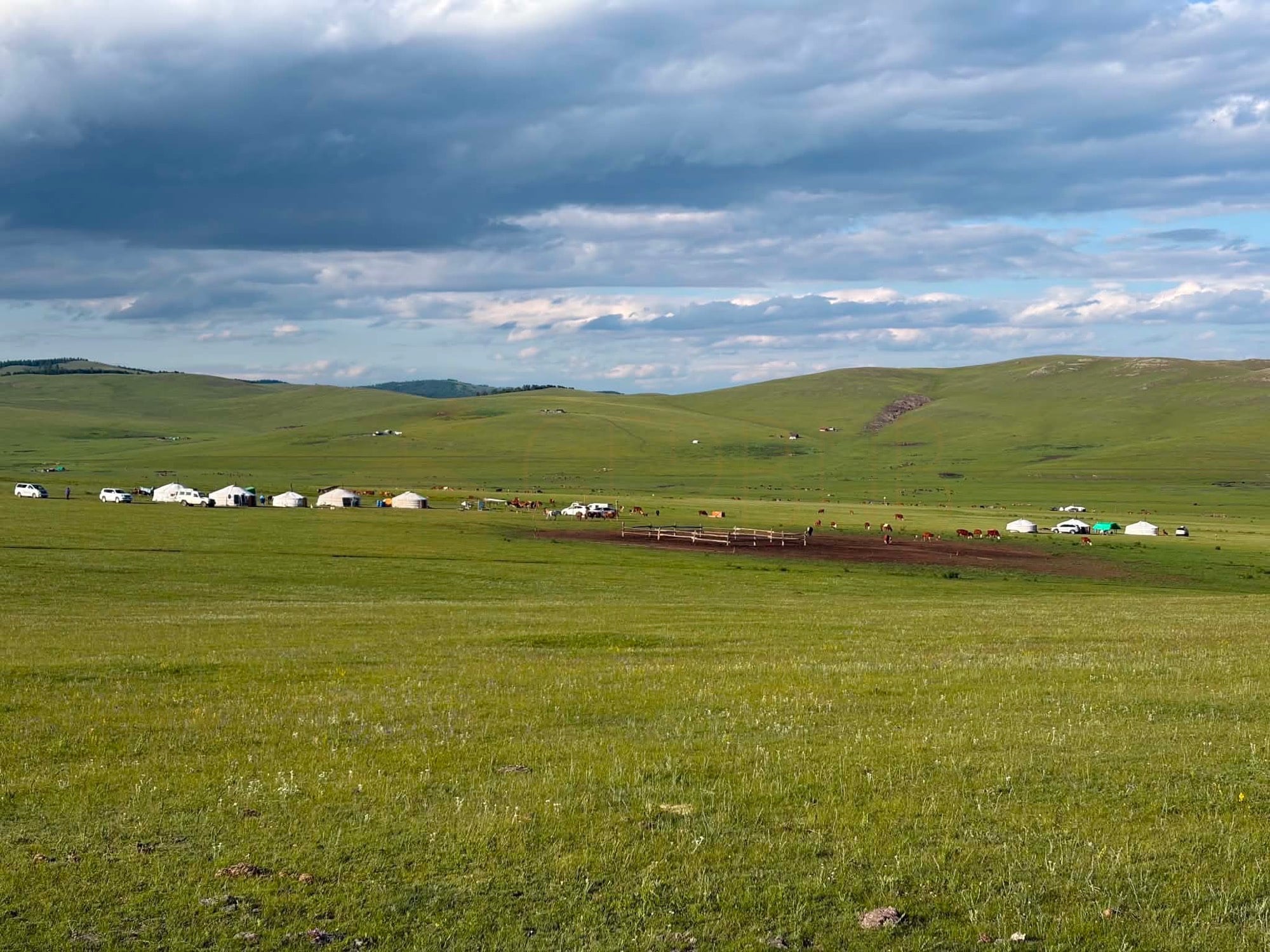 Bugat soum ger stay near Erdenet: The camp sits below forested hills, far enough from the public road that traffic is neither visible nor audible. (Camp site)